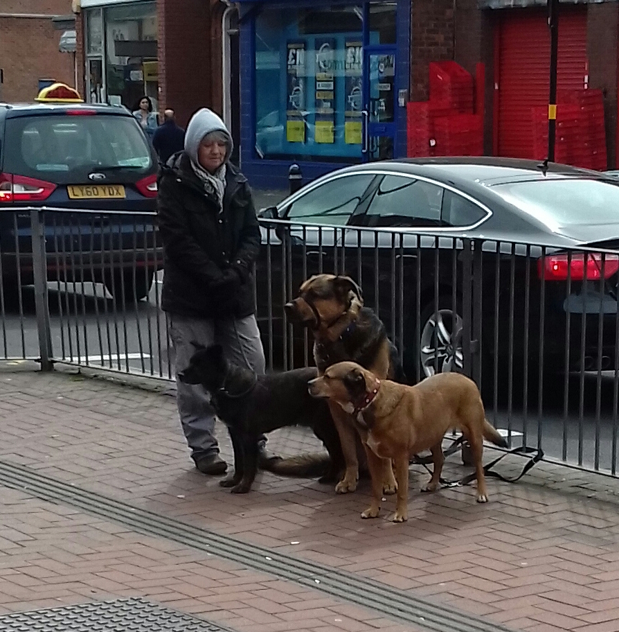 Jackie waiting with three dogs on a busy high street